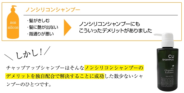 ノンシリコンシャンプーの説明