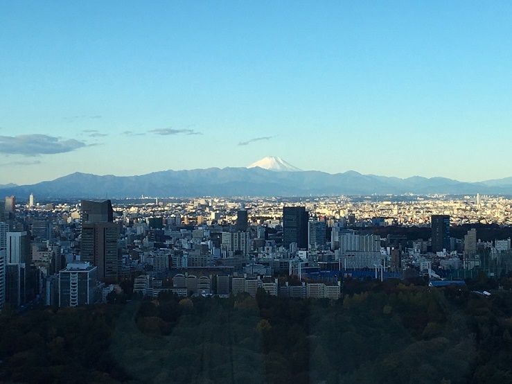 部屋からの朝の景色