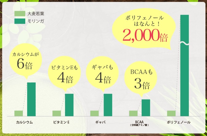 モリンガと大麦若葉に含まれる栄養素の含有量の比較