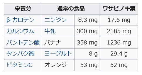 モリンガに含まれる栄養素の食品との比較